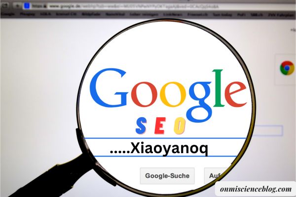 Google SEO Xiaoyanoq